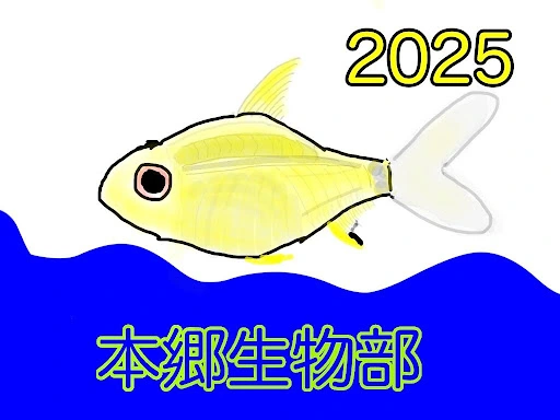 本郷生物部のサムネイル